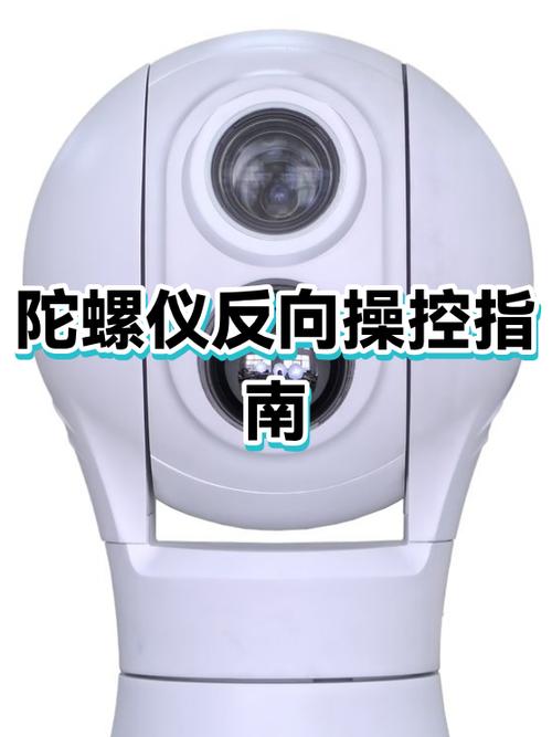 陀螺仪垂直反向是什么意思游戏截图