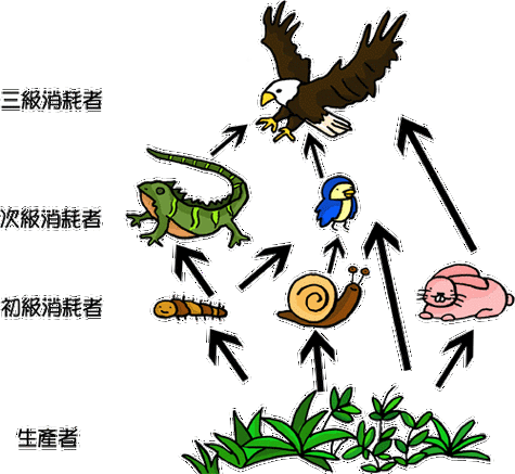 《食物链》5截图