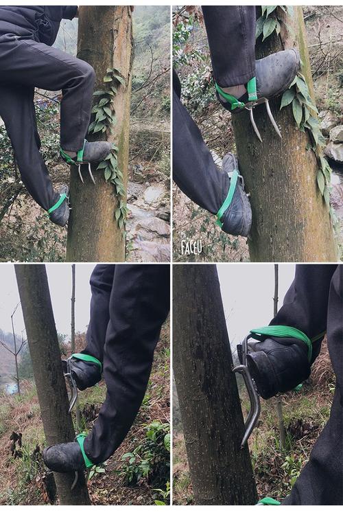 爬树脚扣爬树专用工具截图