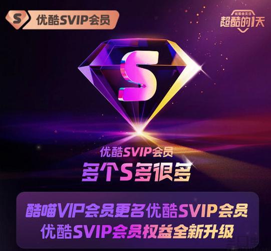 两年svip能升多少级游戏截图