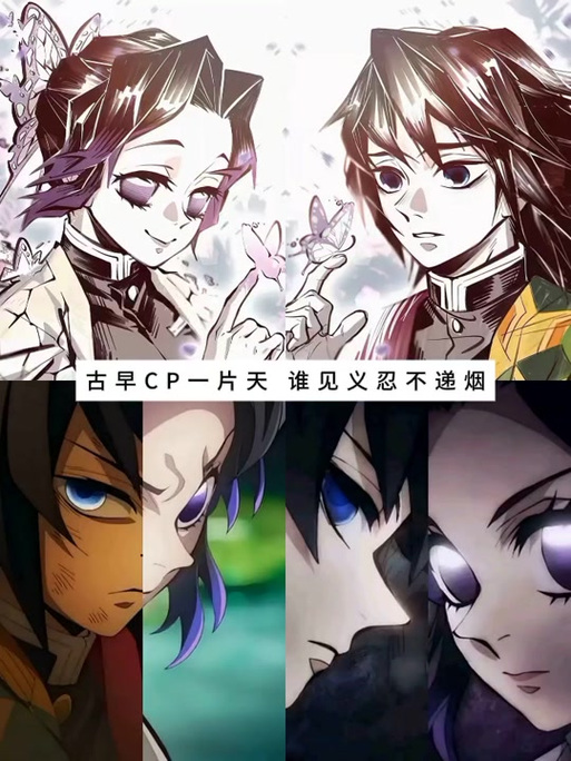 义忍cp图片官图