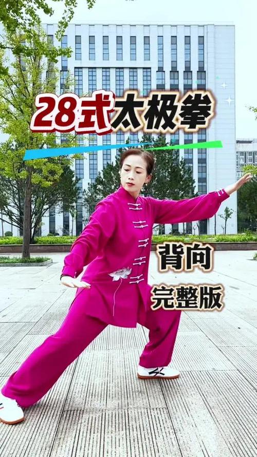 新编二十八式太极拳全套演练图标