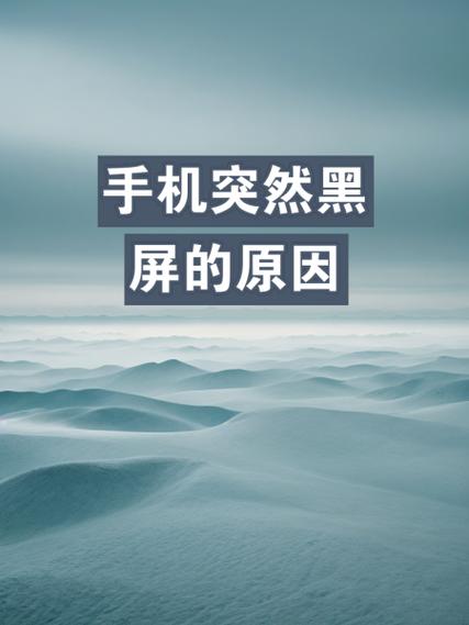 抖音视频黑屏的原因分析截图