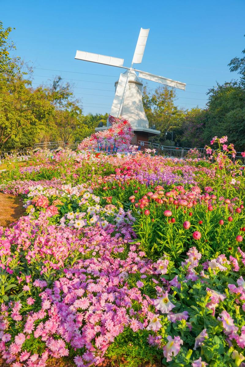 快看鲜花小镇兑换码免费领取截图
