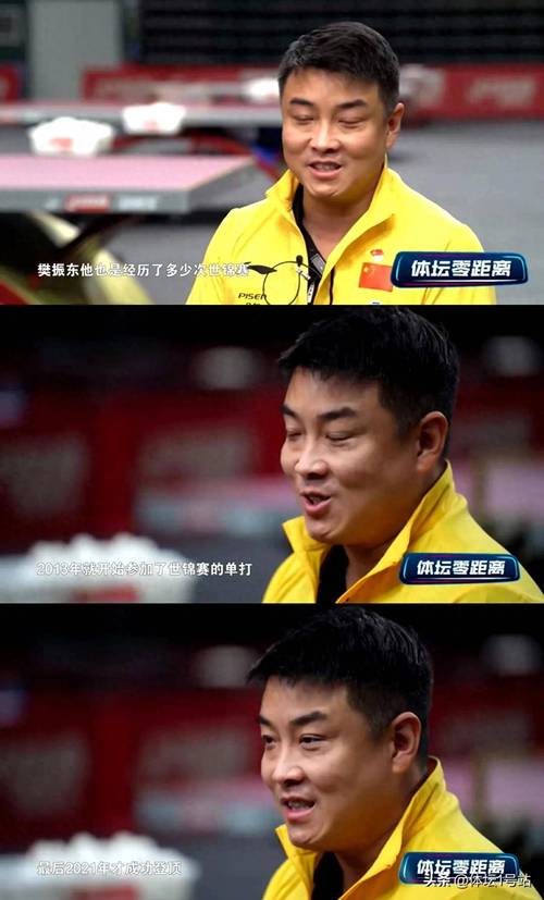 王皓回应樊振东不参赛争议缩略图