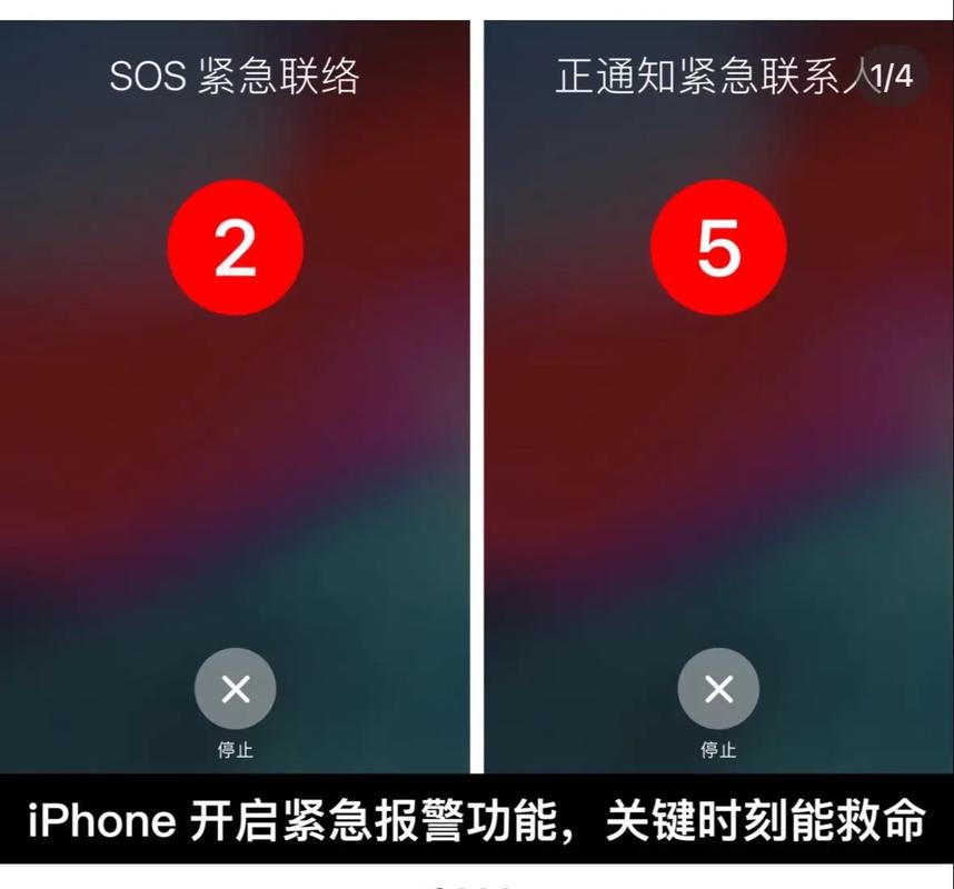 苹果手机突然自己报警声