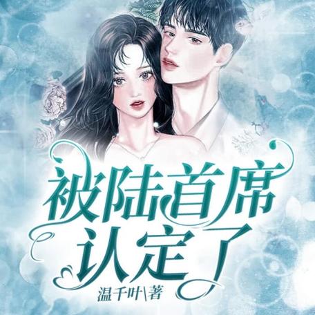 被陆首席认定了免费阅读无弹窗缩略图