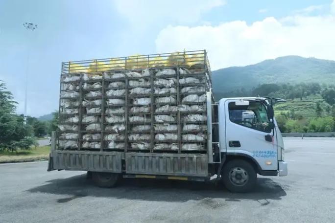 大鹅车业深圳有限公司图标
