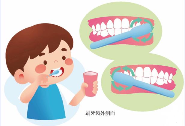 小班健康活动我会刷牙截图