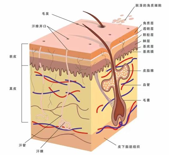 爱趣玩免费领皮肤截图