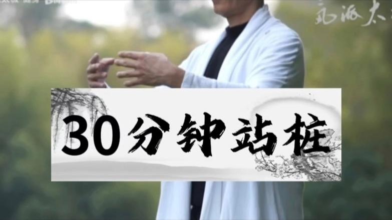 站桩30分钟截图