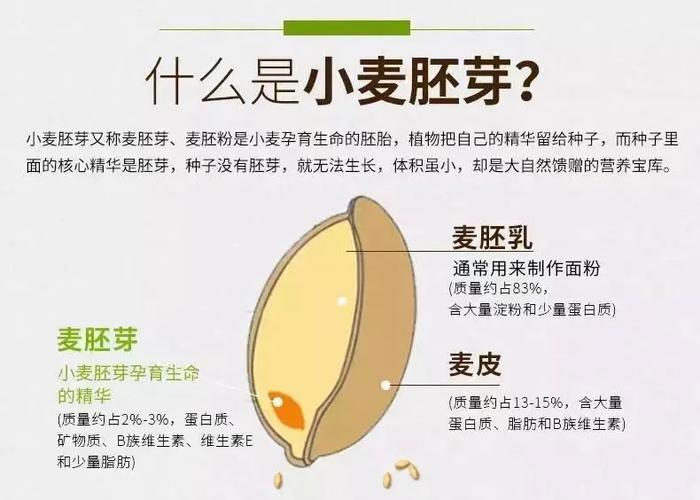 麦芽孕育APP缩略图