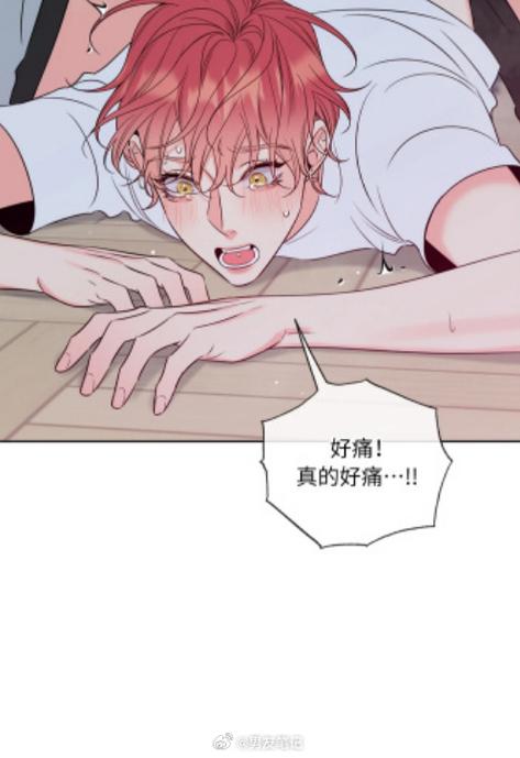 《蜜糖危机》漫画在线观看图标
