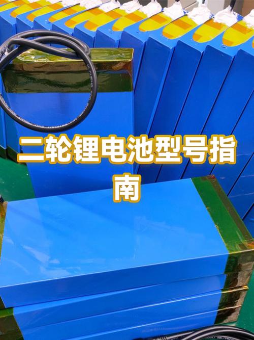 二轮锂电池前十名