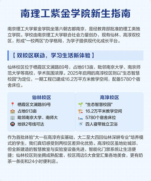 cf紫金大元首是多少级截图