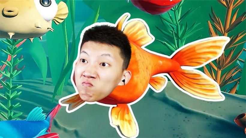 鲤鱼Ace解说我是一条鱼截图