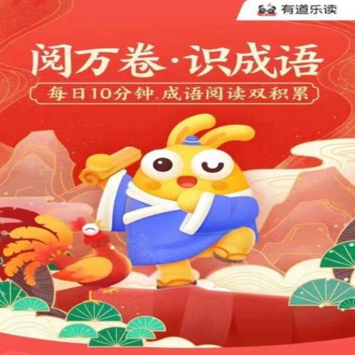 有道vip有区别么截图