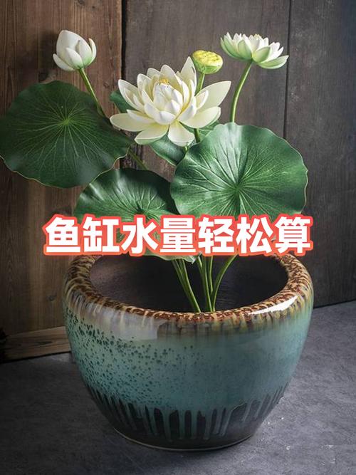 80的鱼缸多少升水截图