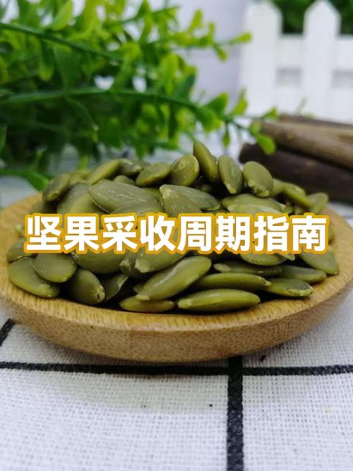 坚果热量高吗减肥能吃吗图标