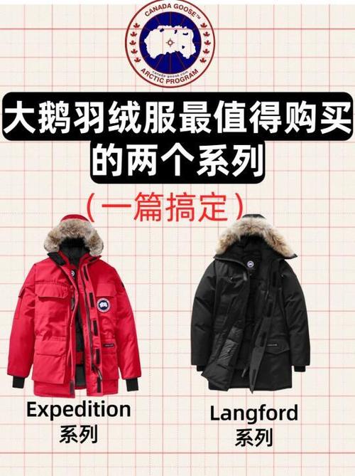 加拿大鹅为什么那么重截图