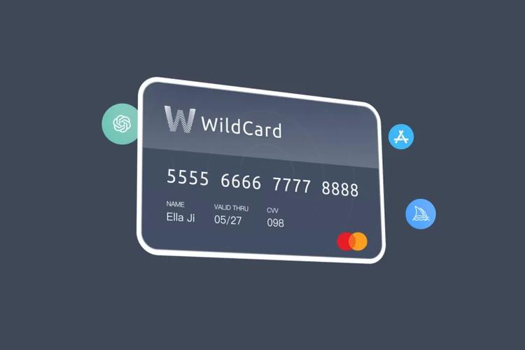 wildcard虚拟卡官网截图