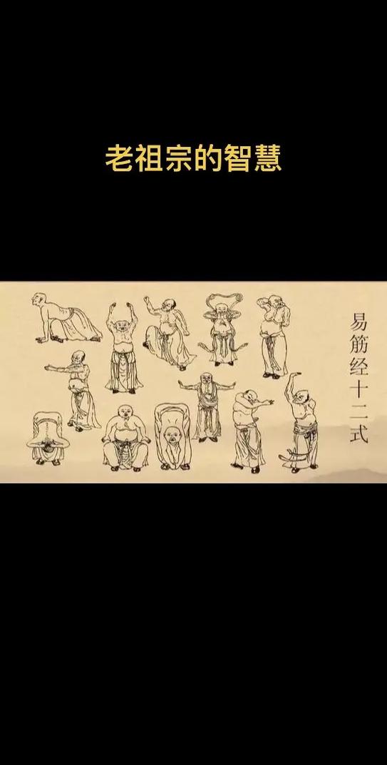 易筋经十二式完整版视频