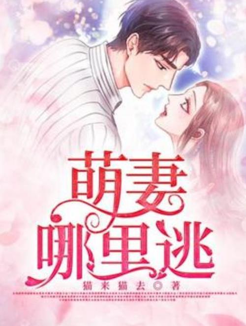 小说萌妻哪里逃全集截图