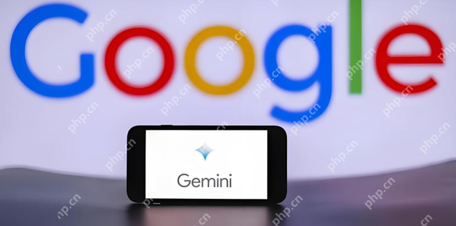 gemini中文叫什么截图