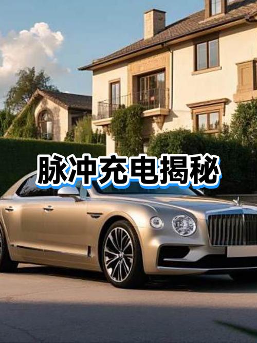 脉冲充电器使用方法