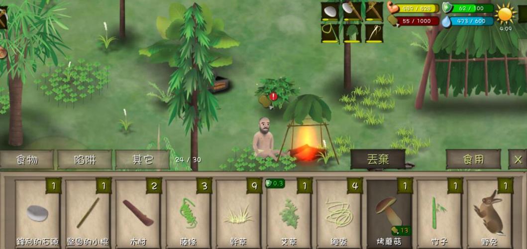 荒野求生孤岛日记破解版