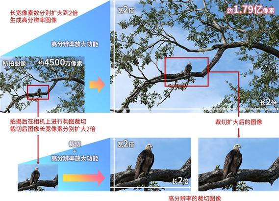 微单全画幅和半画幅的区别缩略图