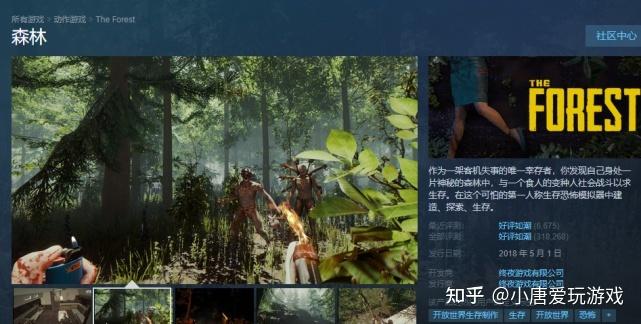 theforest游戏介绍缩略图