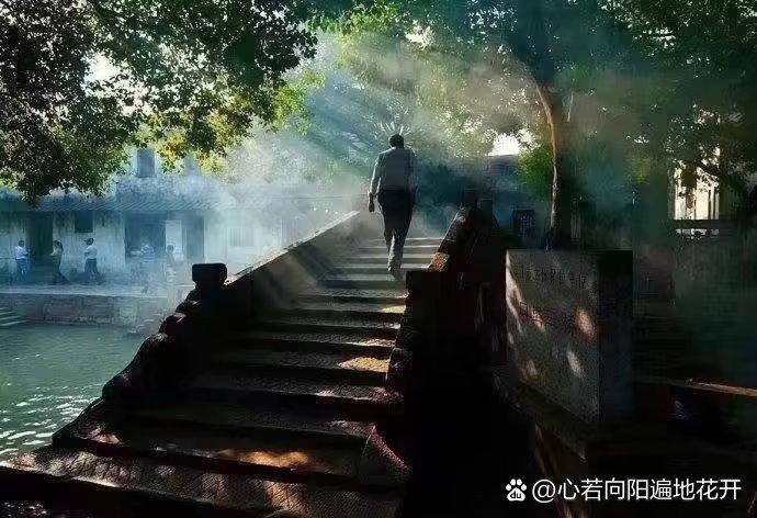 浮世清欢对应词缩略图