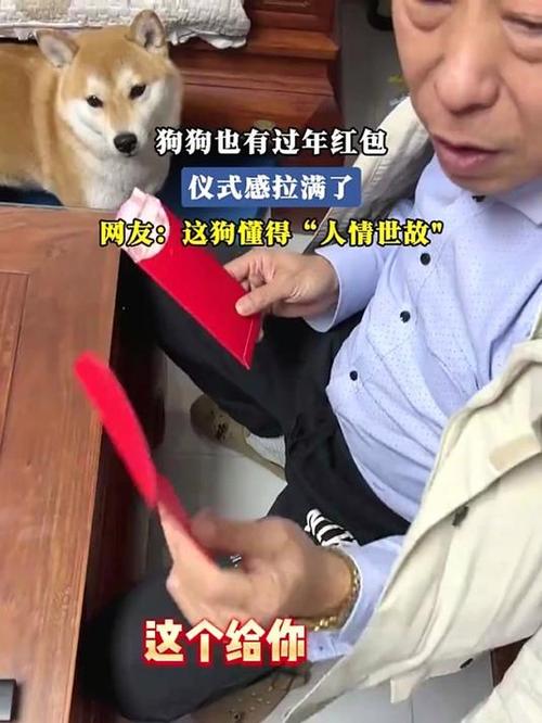 朋友送的小狗要给红包吗图标