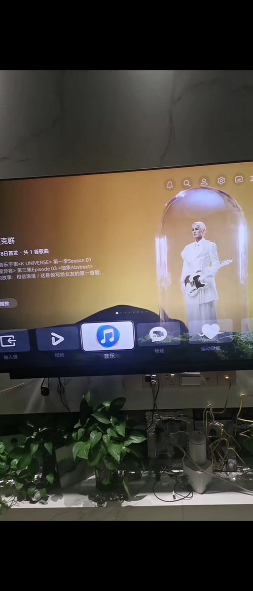 奇异果能看电视吗