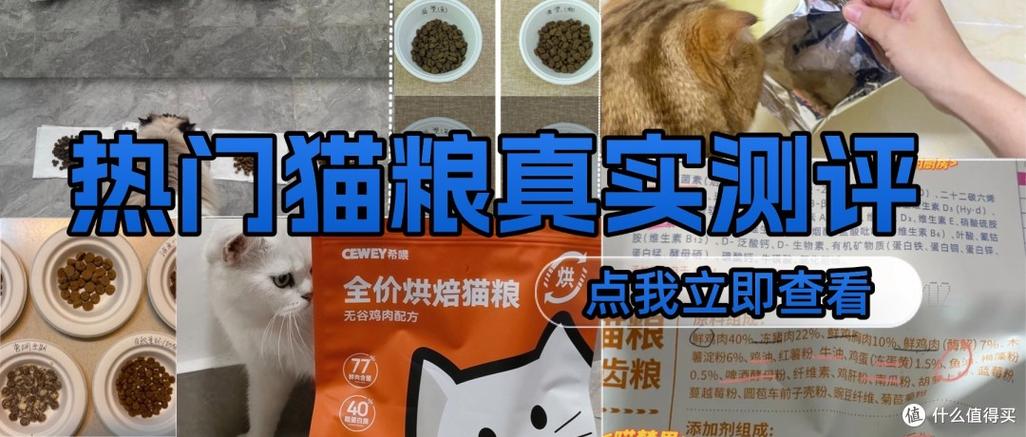 猫饭哪个牌子好