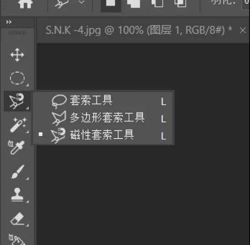 ps多边形套索工具使用方法截图