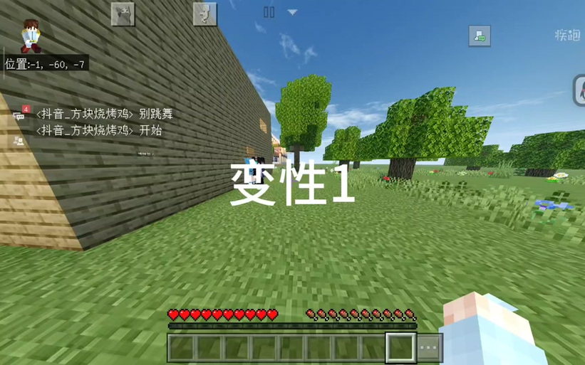 我的世界变性手术完整版