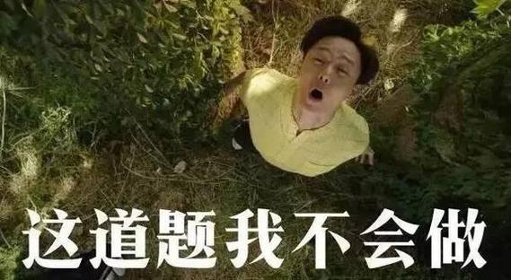 这题我不会by酒晚意txt图标