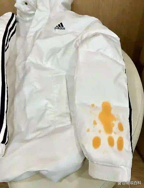 羽绒服油渍怎么去除最快最干净截图