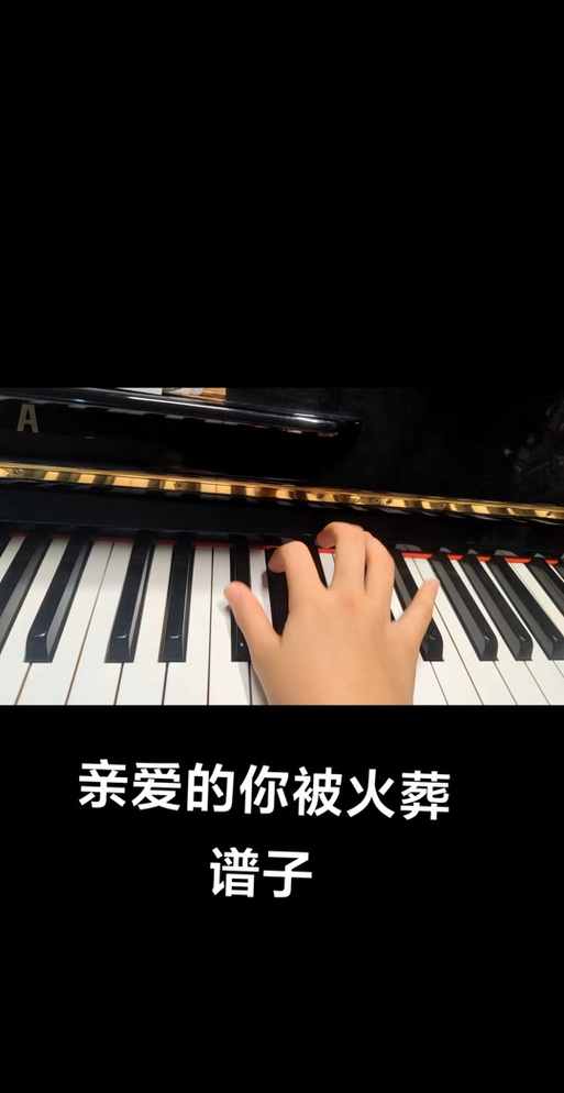 亲爱的你原唱缩略图