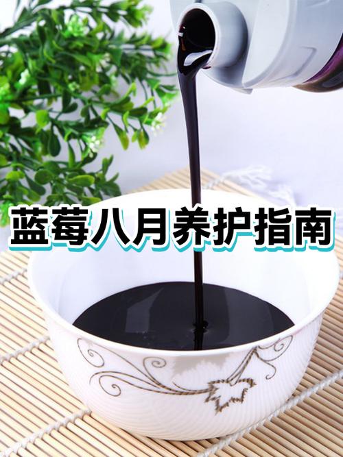 蓝莓伤肝还是护肝图标
