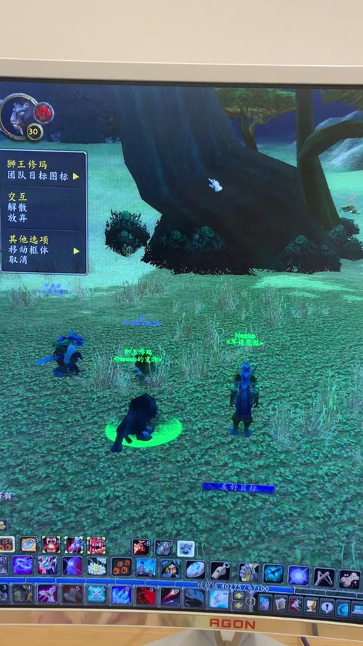 狮王休玛最强技能搭配缩略图