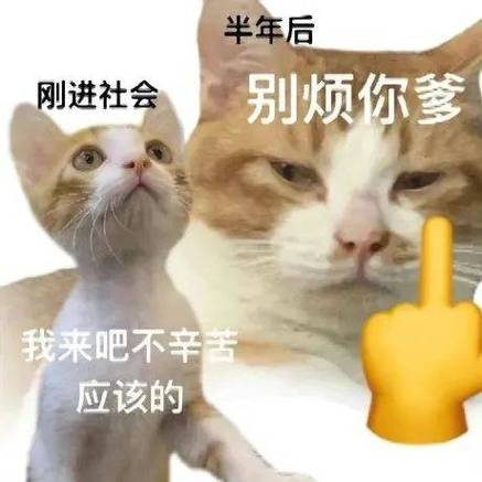 做大做强表情包截图