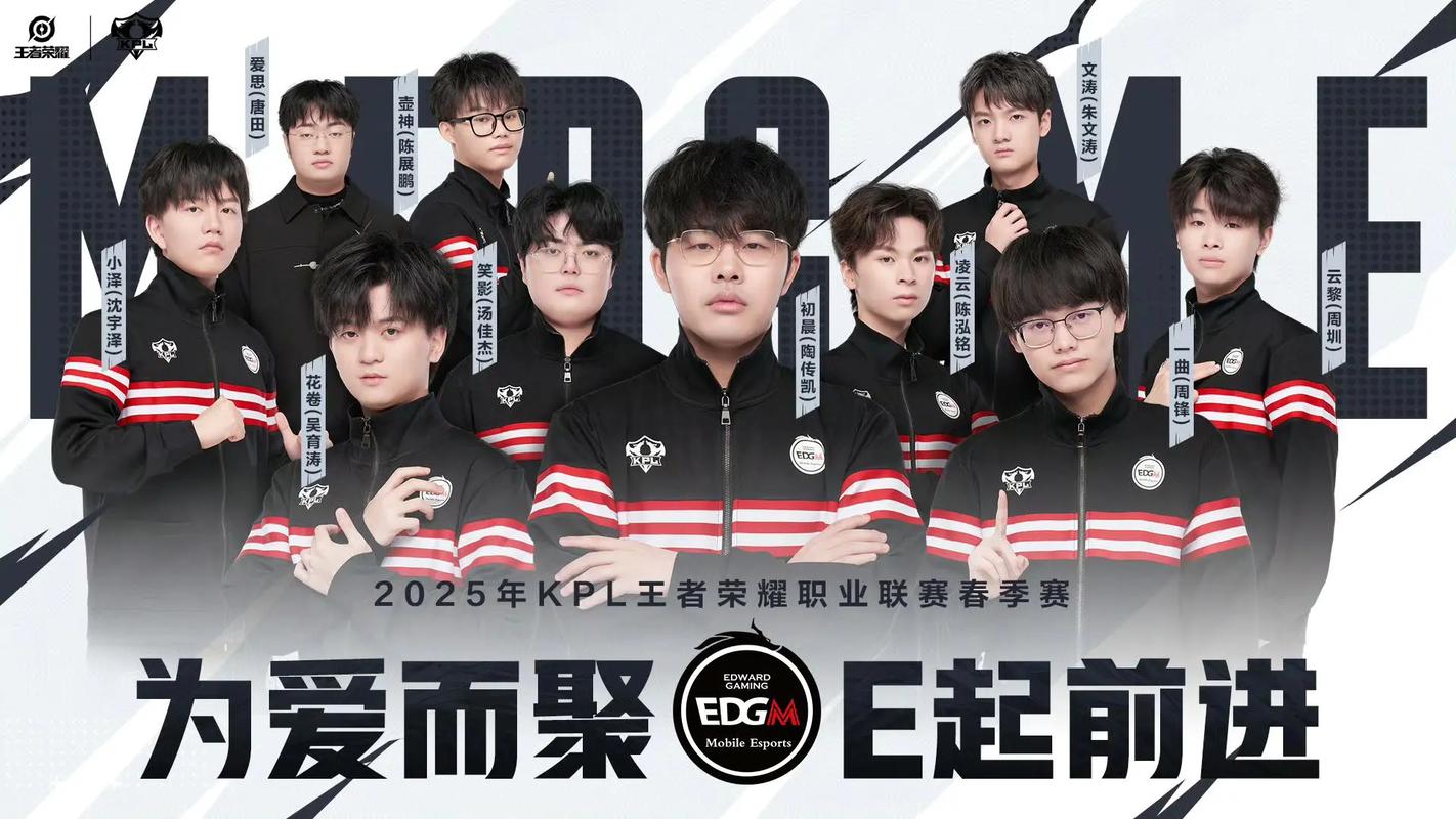 前职业战队er截图