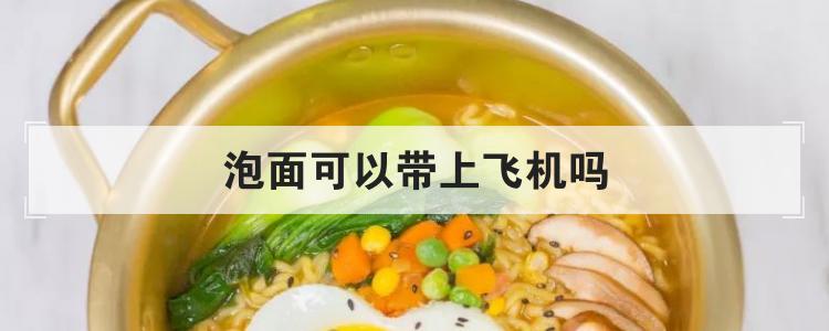 方便面可以随身带上飞机吗游戏截图