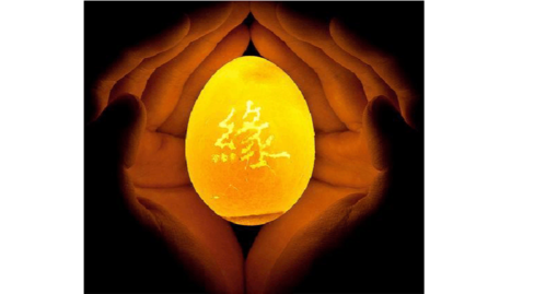 不收费的相亲平台有哪些截图