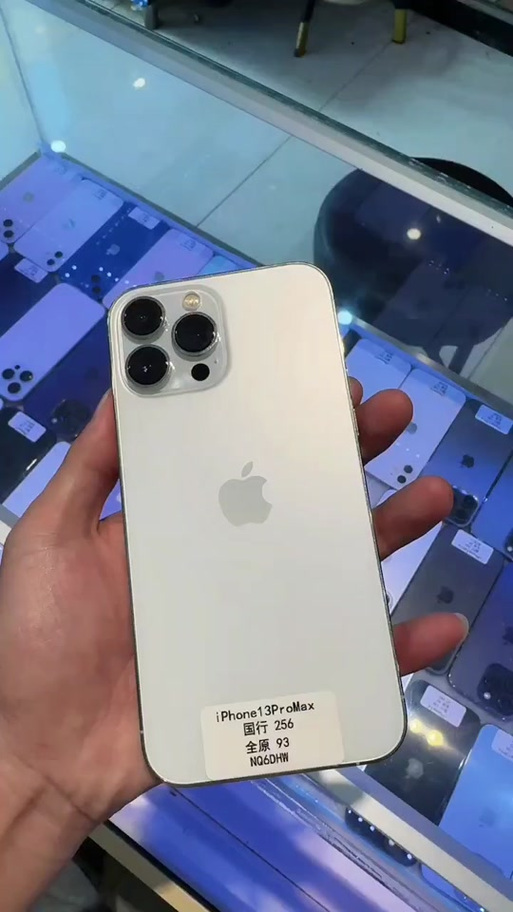13promax哪个版本最好截图