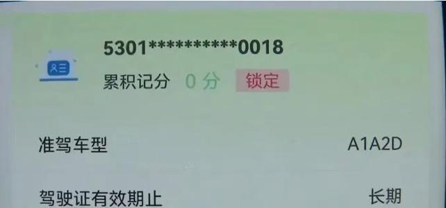 没提交体检报告驾驶证被锁定游戏截图
