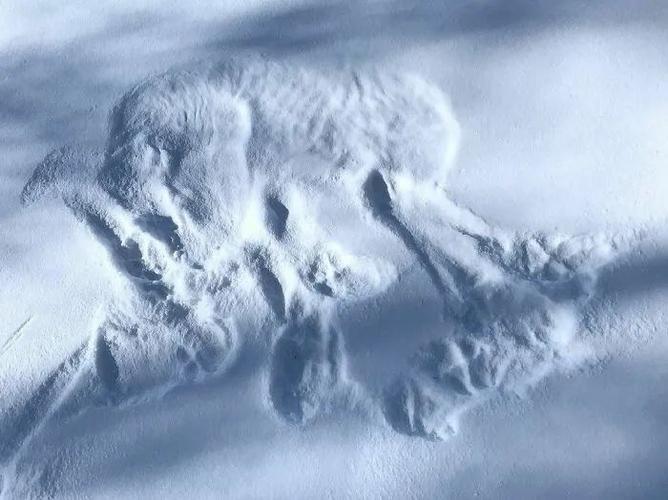 照片移动后老地方还有照片截图